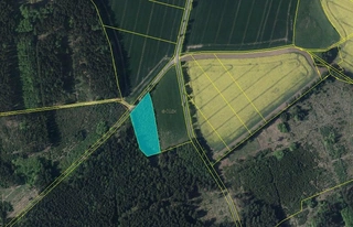 Lesy - Michalovice, LESS & FOREST s.r.o.