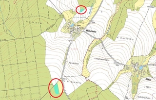 Lesy - Michalovice, LESS & FOREST s.r.o.
