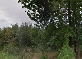 Lesy - Michalovice, LESS & FOREST s.r.o.