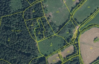 Lesy - Radhostice, LESS & FOREST s.r.o.