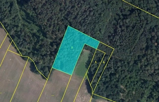 Lesy - Střemy, LESS & FOREST s.r.o.