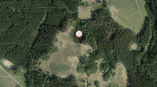 Lesy - Sychrov u Ledče nad Sázavou, LESS & FOREST s.r.o.