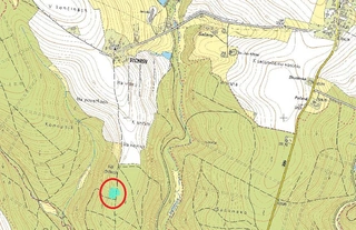 Lesy - Sychrov u Ledče nad Sázavou, LESS & FOREST s.r.o.