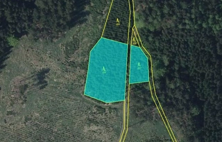 Lesy - Sychrov u Ledče nad Sázavou, LESS & FOREST s.r.o.