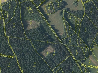 Lesy - Všeradov, LESS & FOREST s.r.o.