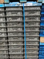 Magna 19. Přepravní box 784 ks