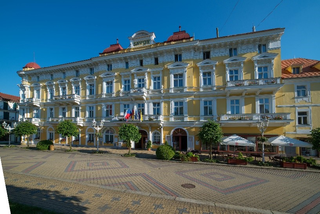 Obchodní závod dlužníka Františkovy Lázně SAVOY a.s.