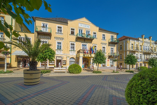 Obchodní závod dlužníka Františkovy Lázně SAVOY a.s.