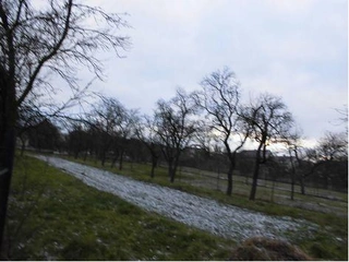 podíl 9/20 RD Rokytnice nad Rokytnou