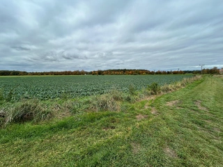 Rovinatý pozemek 1800 m2, k.ú. Mokré 