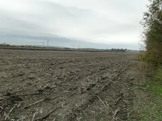 Zemědělský pozemek Žatčany, Brno - venkov