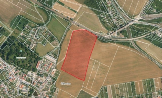 Pozemek 4,3ha, k.ú. Čížkovice, okres Litoměřice