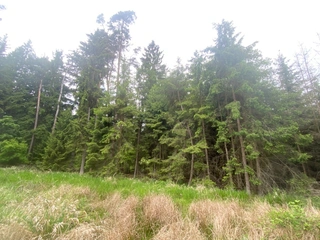 Pozemek p.č. 585/12 Lštění nad Zubřinou, obec Blížejov, okres Domažlice