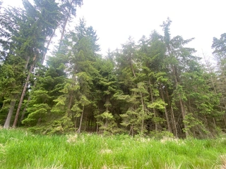 Pozemek p.č. 585/12 Lštění nad Zubřinou, obec Blížejov, okres Domažlice