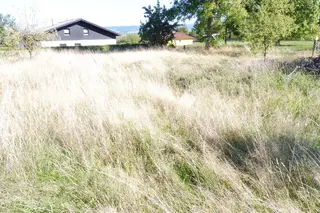 Pozemek pro stavbu RD Chudenín