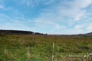 Pozemek, Radkovice u Příchovic, okres Plzeň