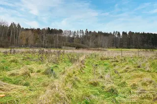 Pozemek, Radkovice u Příchovic, okres Plzeň