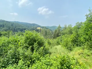 Pozemek Bušín, okres Šumperk  