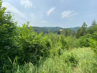 Pozemek Bušín, okres Šumperk  