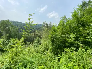 Pozemek Bušín, okres Šumperk  