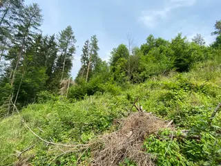 Pozemek Bušín, okres Šumperk  