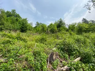 Pozemek Bušín, okres Šumperk  