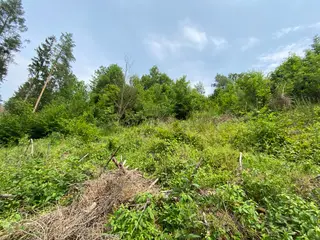 Pozemek Bušín, okres Šumperk  
