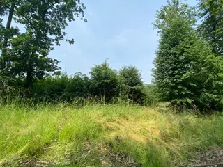 Pozemek Bušín, okres Šumperk  