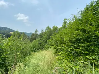 Pozemek Bušín, okres Šumperk  