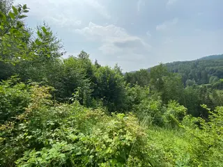 Pozemek Bušín, okres Šumperk  