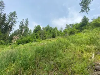 Pozemek Bušín, okres Šumperk  