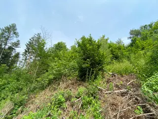 Pozemek Bušín, okres Šumperk  