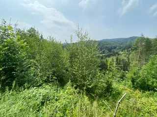Pozemek Bušín, okres Šumperk  