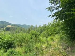 Pozemek Bušín, okres Šumperk  