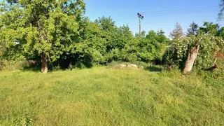 spoluvlastnický podíl 1/3 na pozemku 2.133m2 Chlumec nad Cidlinou