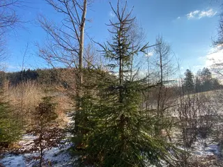 Pozemek Horní Studénky, okres Šumperk