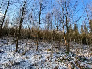 Pozemek Horní Studénky, okres Šumperk