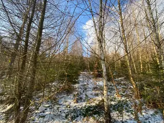 Pozemek Horní Studénky, okres Šumperk