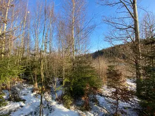 Pozemek Horní Studénky, okres Šumperk