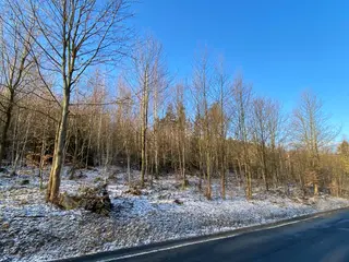 Pozemek Horní Studénky, okres Šumperk