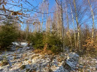 Pozemek Horní Studénky, okres Šumperk