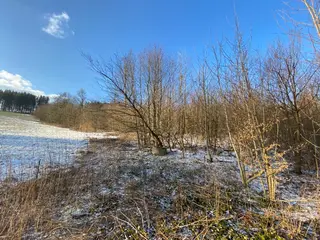 Pozemek Horní Studénky, okres Šumperk