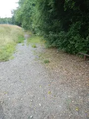 Pozemek k.ú. Křenice u Prahy