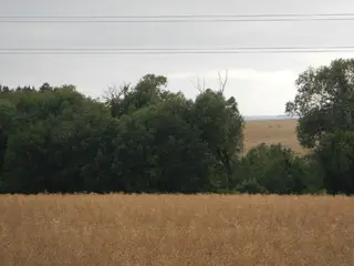 Pozemek k.ú. Křenice u Prahy