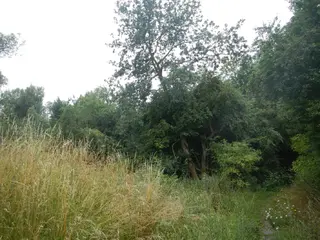 Pozemek k.ú. Křenice u Prahy