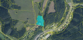 Pozemek k.ú. Pleče, obec Jindřichov okres Šumperk