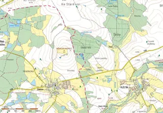 Lesní pozemek Zdešov 8641 m2
