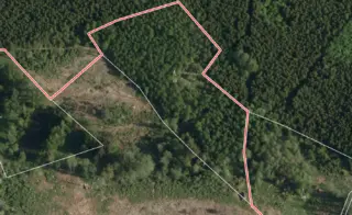 Lesní pozemek Zdešov 8641 m2