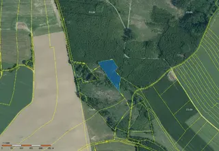 Lesní pozemek Zdešov 8641 m2