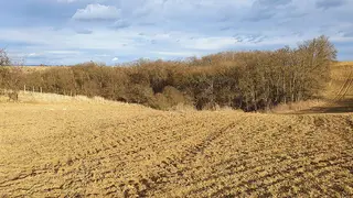 Pozemek - vinice Mutěnice, okres Hodonín